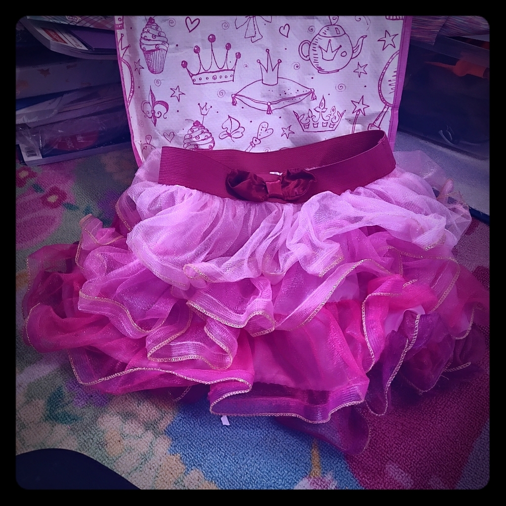 💗 Fancy Nancy Blossom Pink Skirt 💗